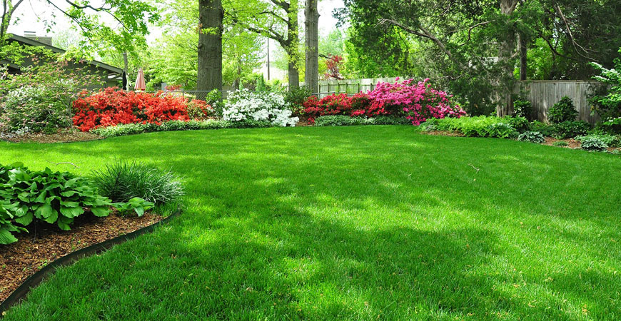 Lawns & Irrigation